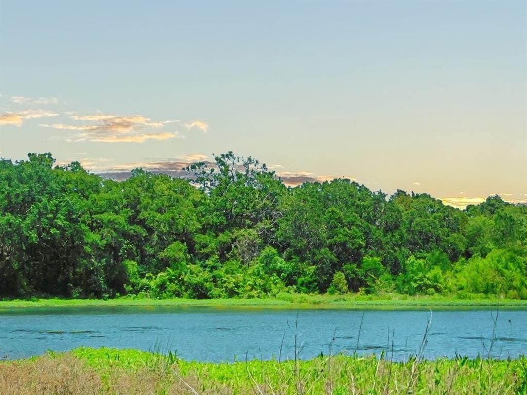 274.21 acres in Navarro County gallery image 3