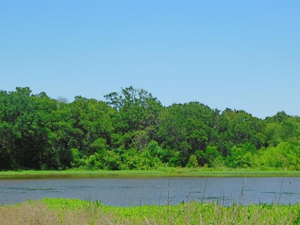 274.21 acres in Navarro County featured view