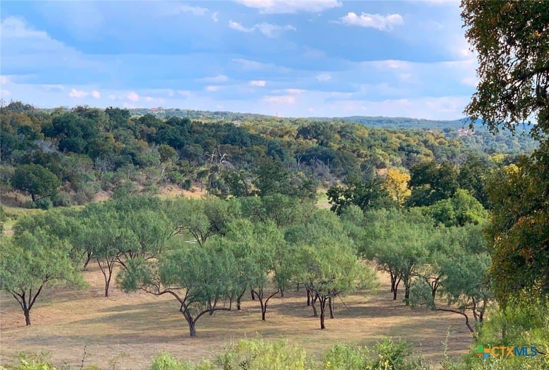 25 acres in Travis County - photo 32
