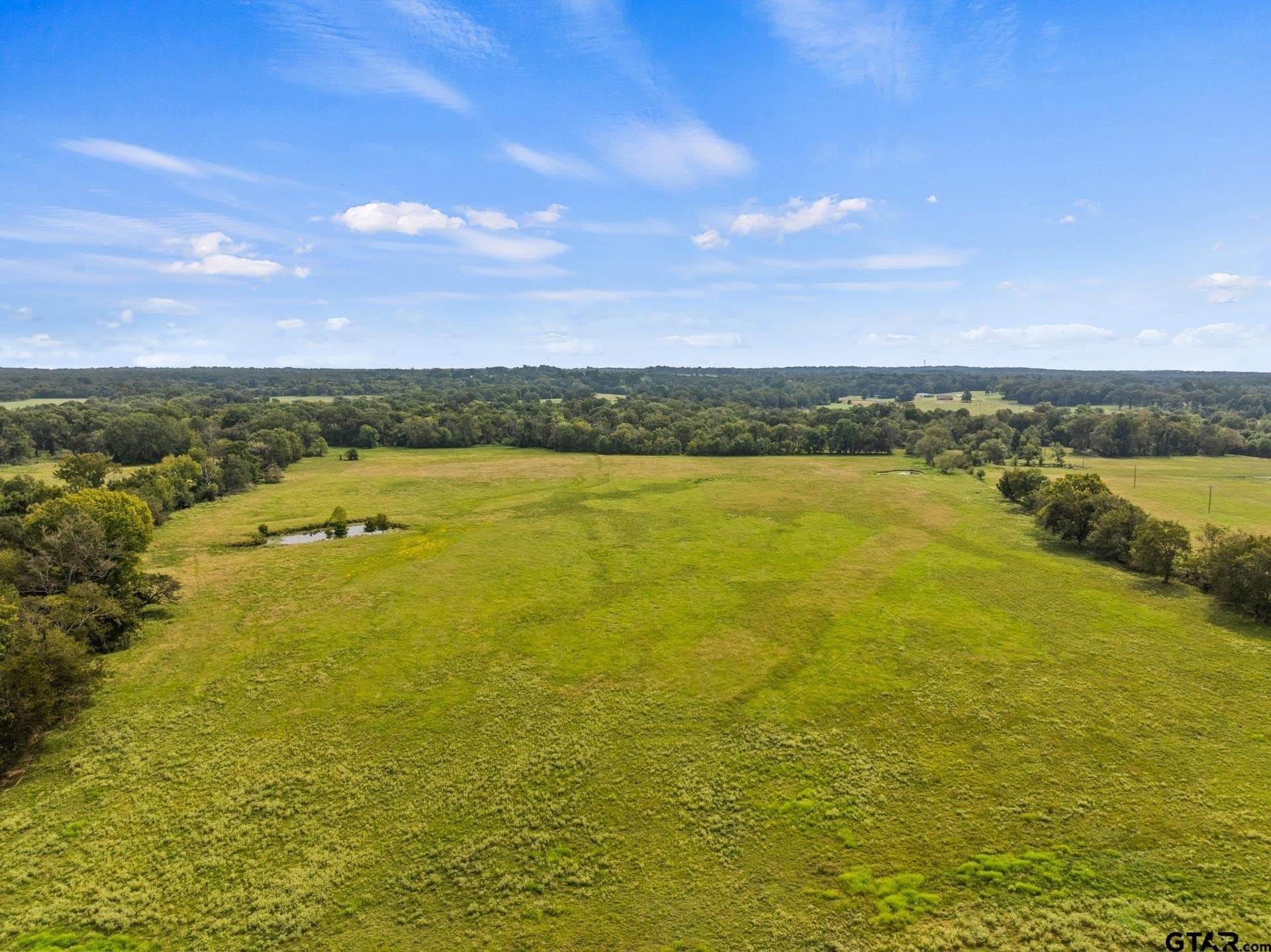 76.94 acres in Titus County featured view