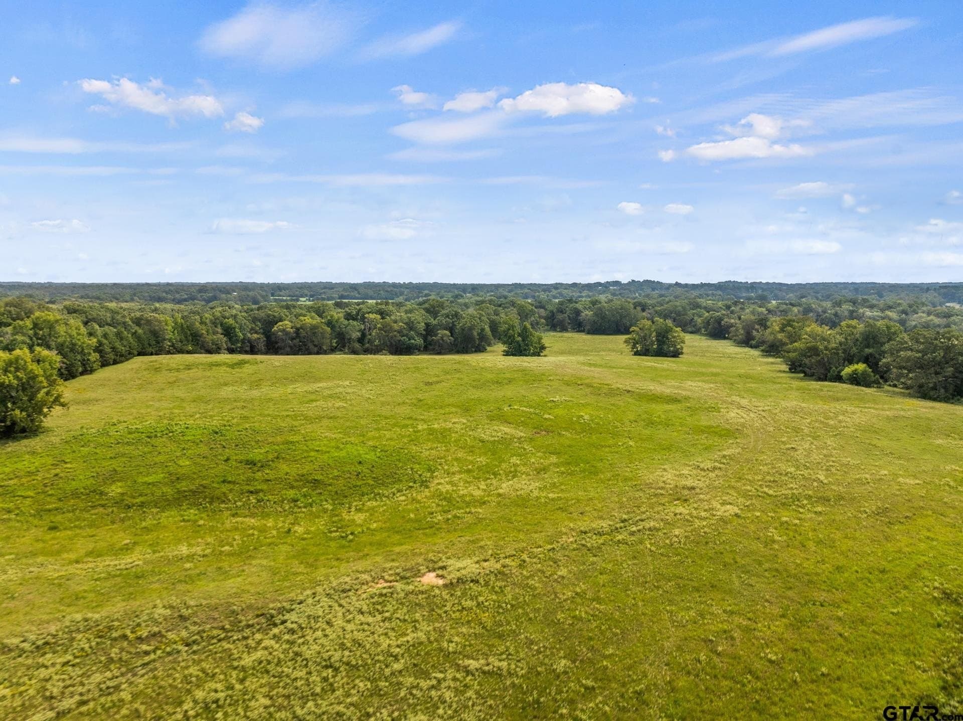 76.94 acres in Titus County gallery image 4