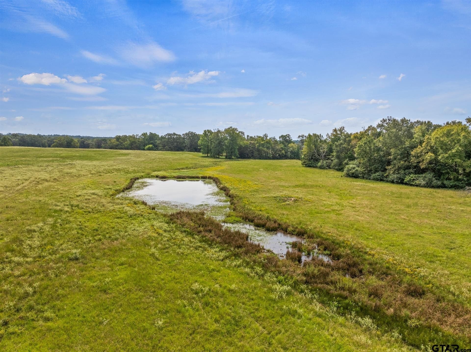 76.94 acres in Titus County gallery image 2