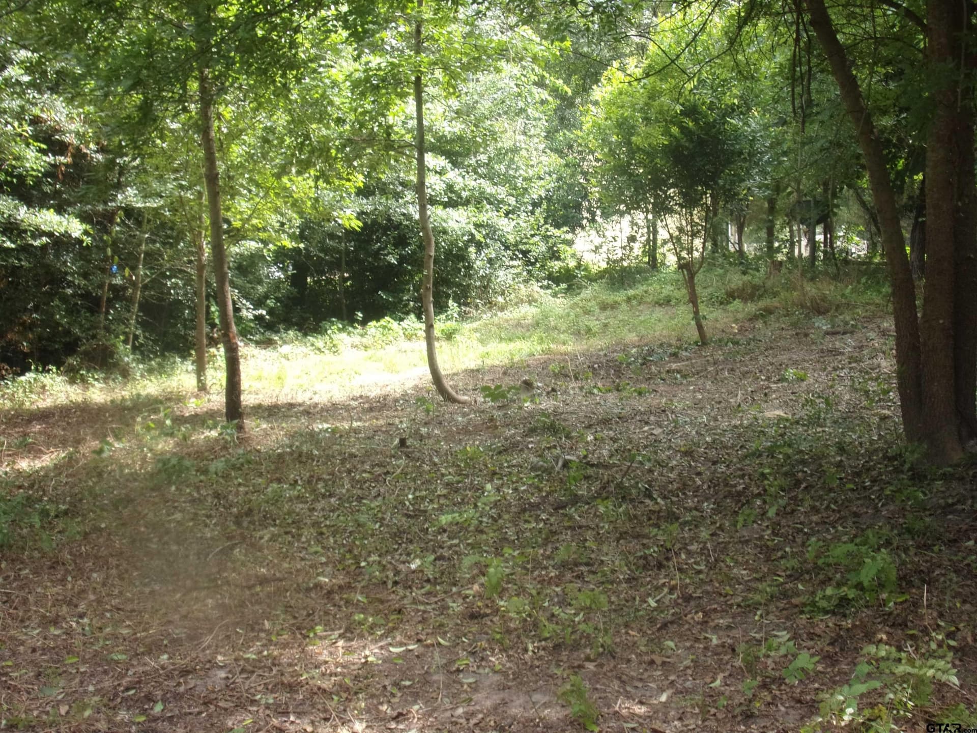 0.36 acres in Van Zandt County gallery image 3