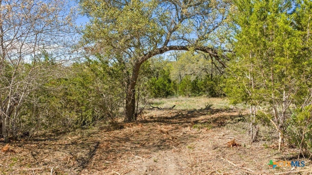 5 acres in Blanco County - photo 9