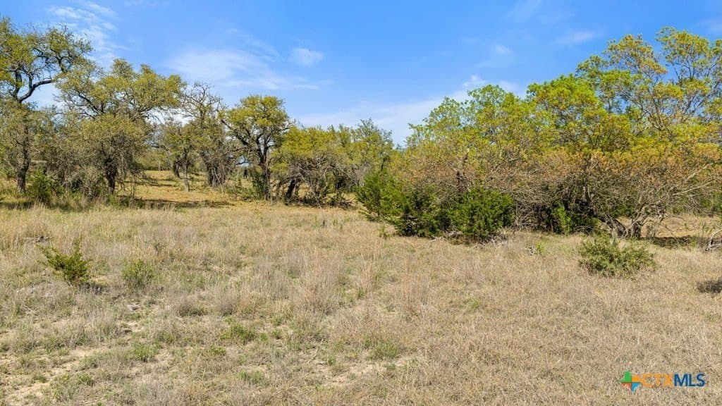 5 acres in Blanco County - photo 6