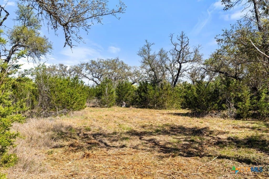 5 acres in Blanco County - photo 20