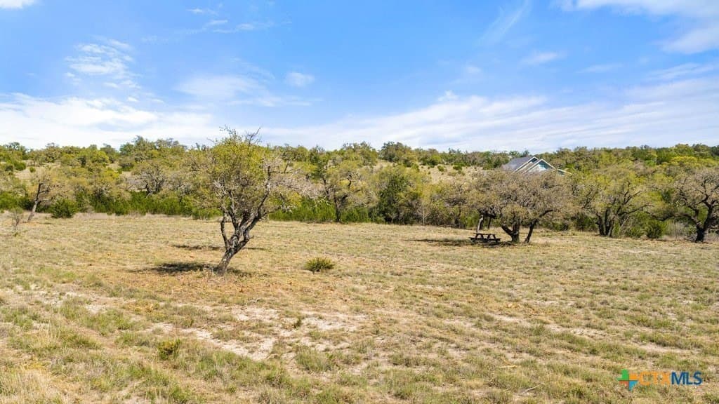 5 acres in Blanco County - photo 11