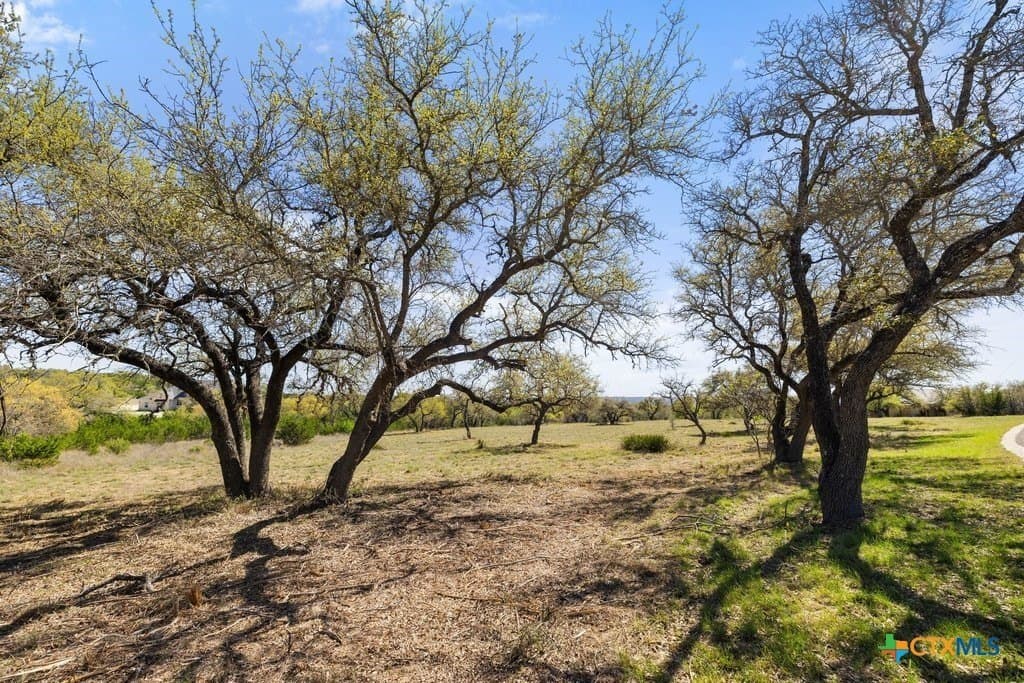 5 acres in Blanco County - photo 15