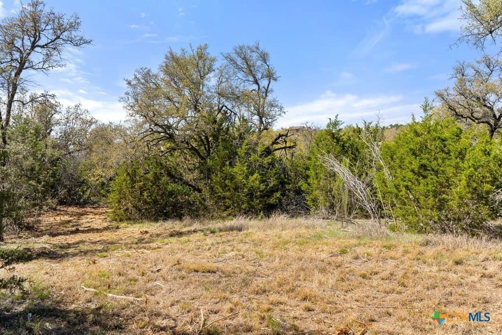 5 acres in Blanco County - photo 21