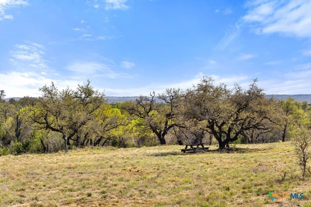 5 acres in Blanco County - photo 31
