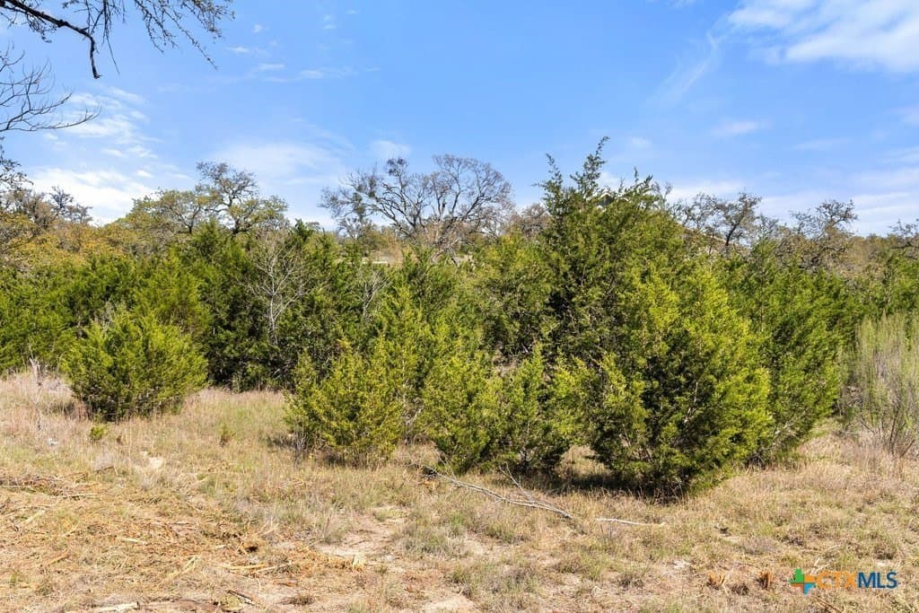 5 acres in Blanco County - photo 27
