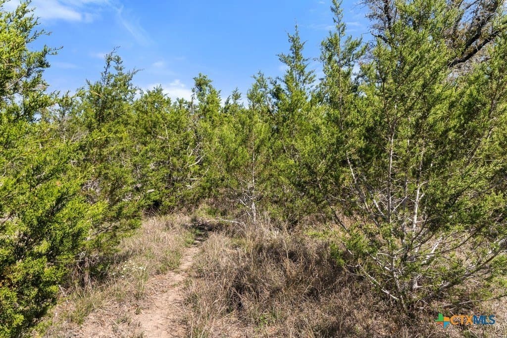 5 acres in Blanco County - photo 23