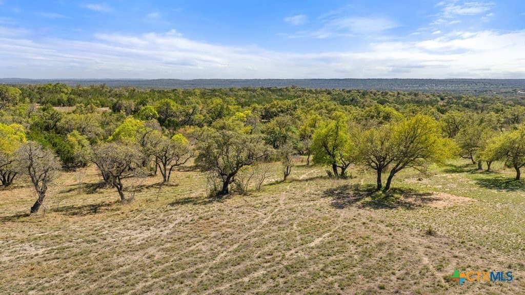 5 acres in Blanco County gallery image 4