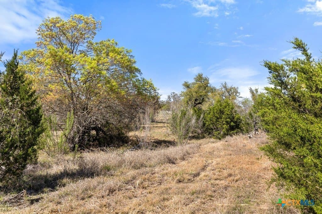5 acres in Blanco County - photo 24