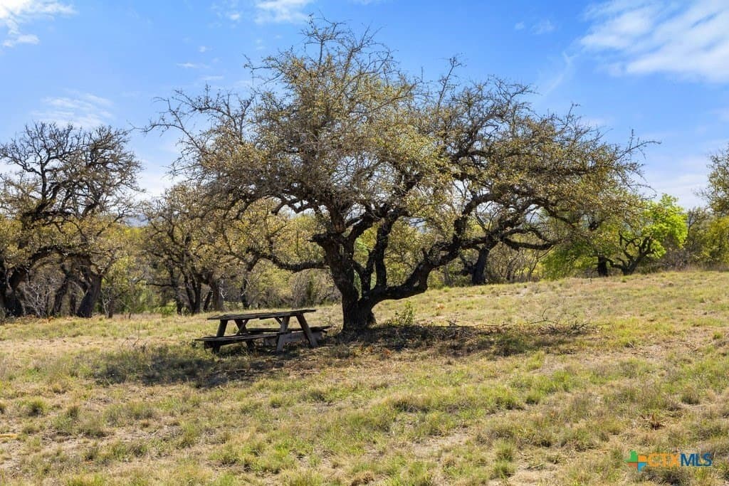 5 acres in Blanco County - photo 17