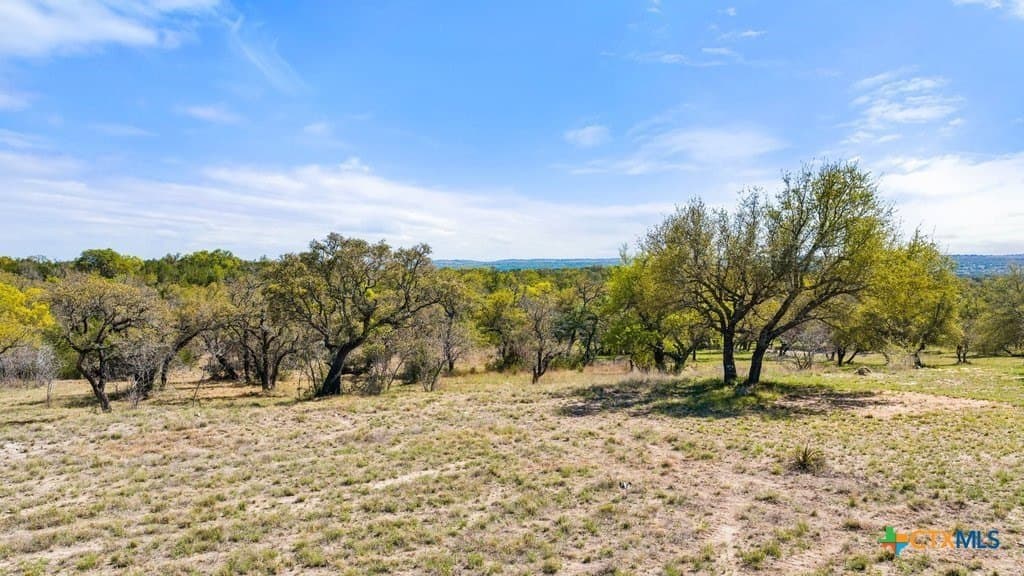 5 acres in Blanco County - photo 13