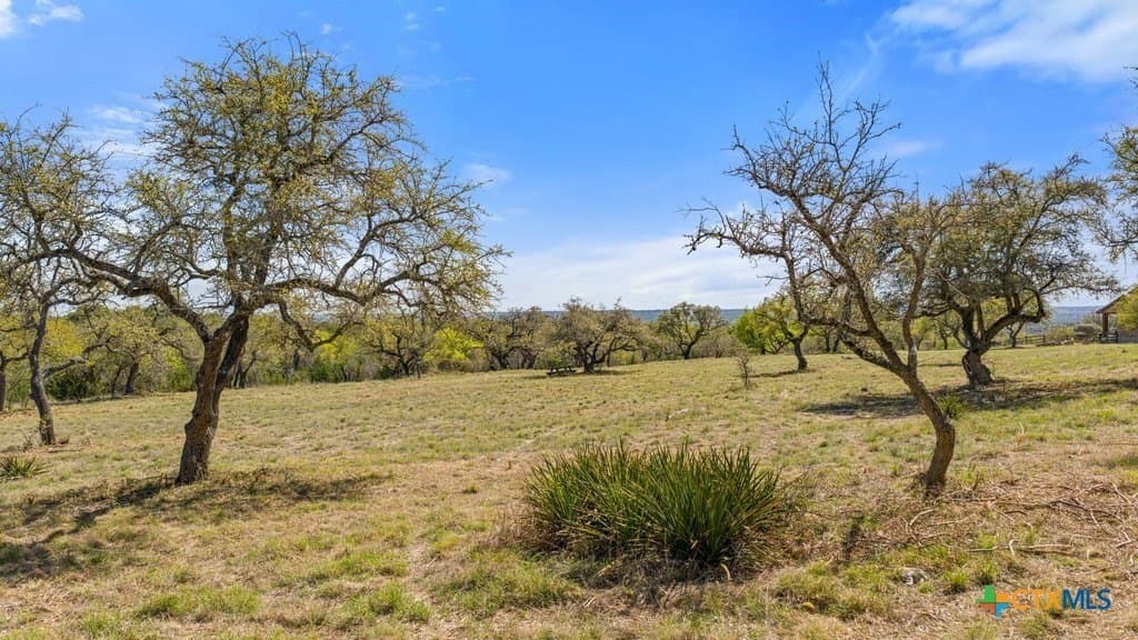 5 acres in Blanco County gallery image 2