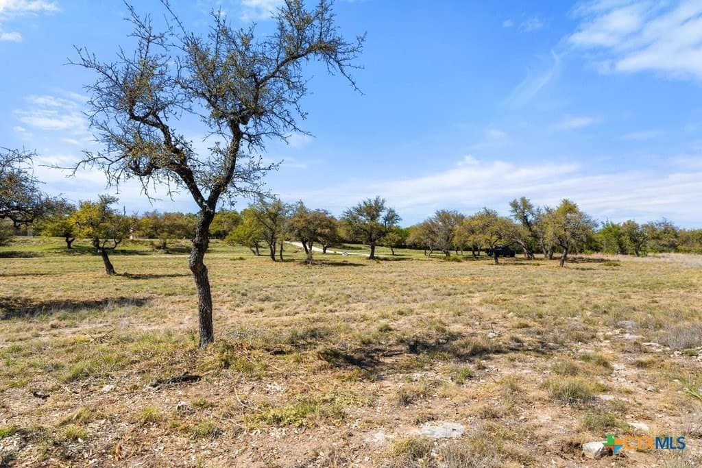 5 acres in Blanco County - photo 18