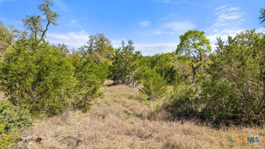 5 acres in Blanco County - photo 7