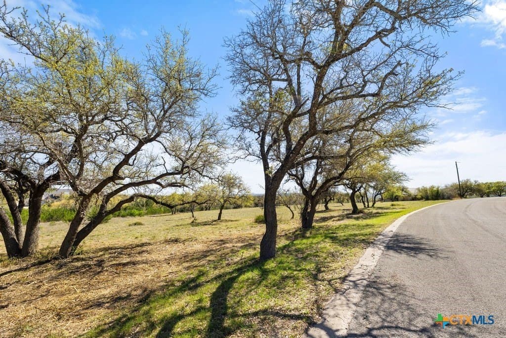 5 acres in Blanco County - photo 32
