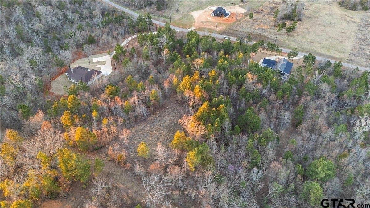 3 acres in Smith County - photo 14