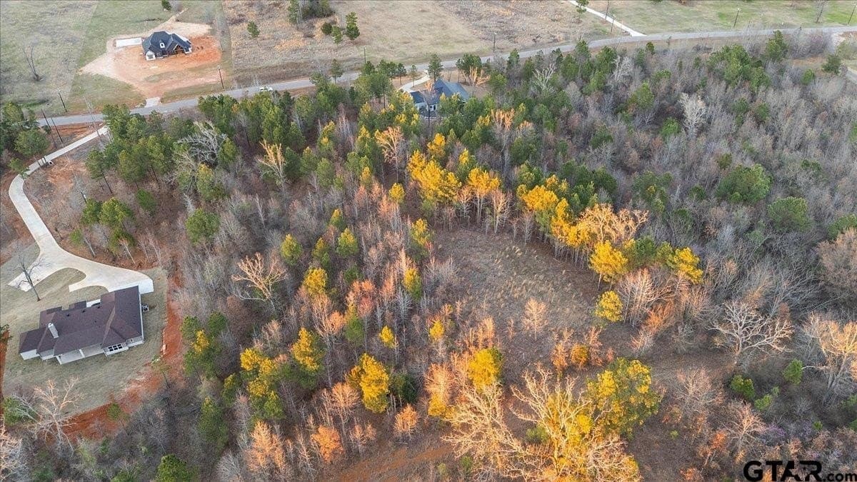 3 acres in Smith County - photo 15