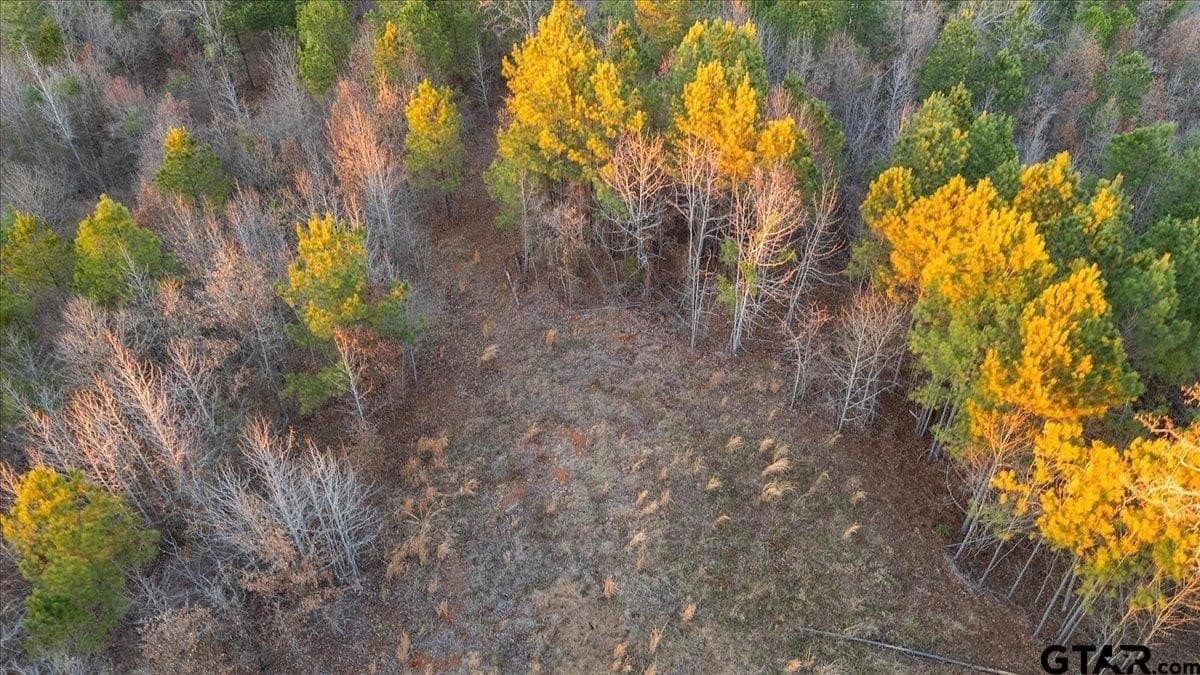 3 acres in Smith County - photo 13
