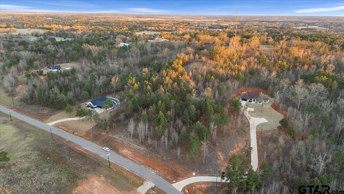 3 acres in Smith County - photo 10