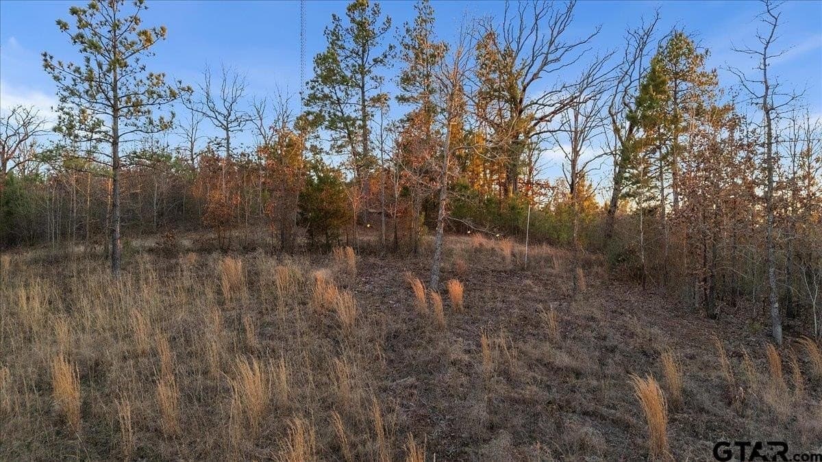 3 acres in Smith County - photo 12
