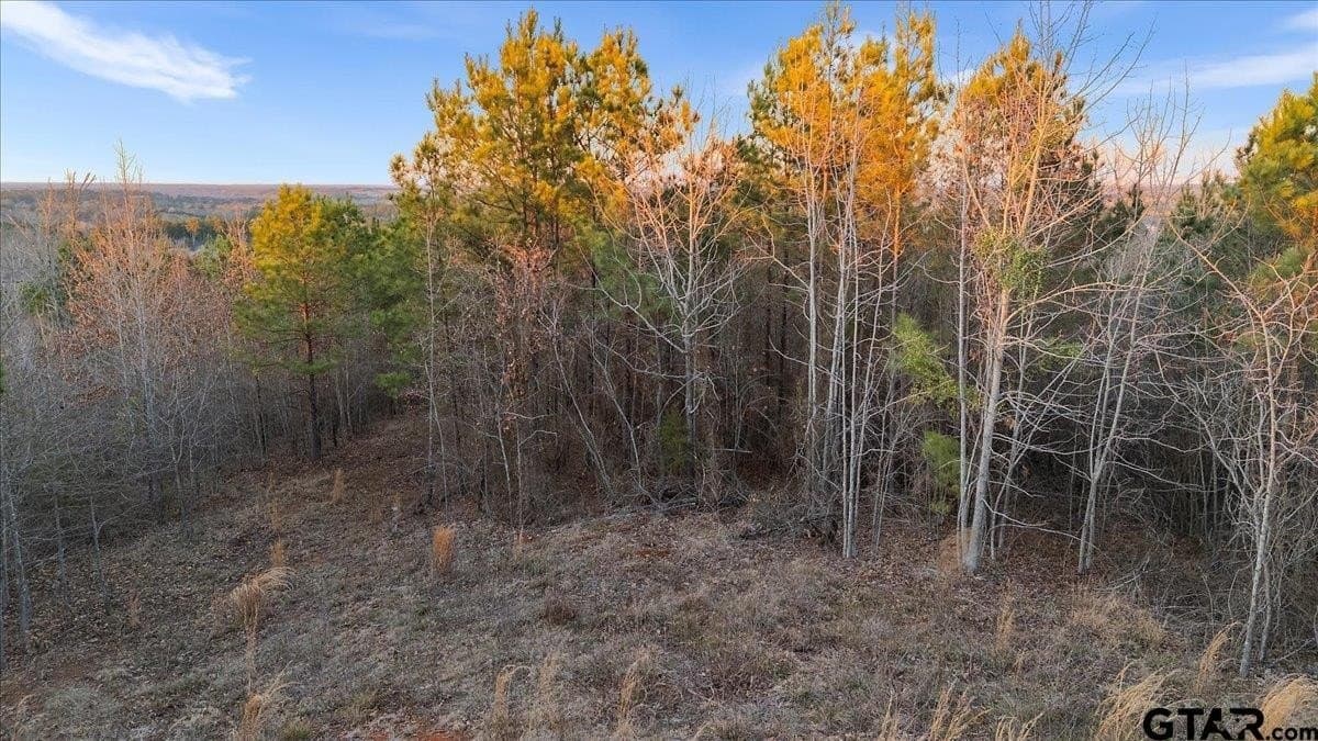 3 acres in Smith County - photo 11