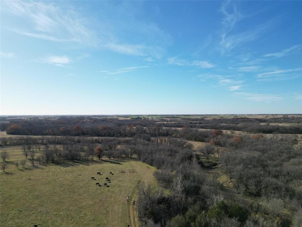 5 acres in Cooke County gallery image 3