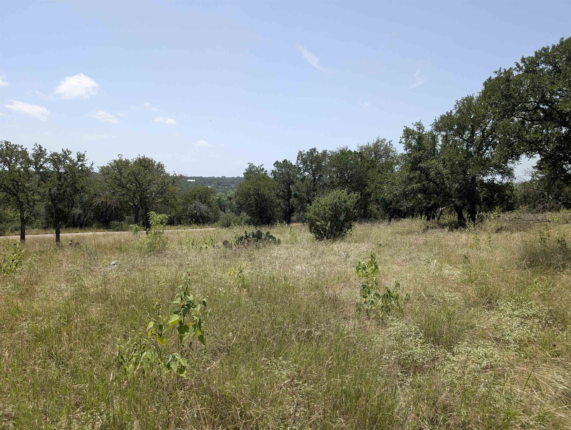 1.2 acres in Llano County - photo 7