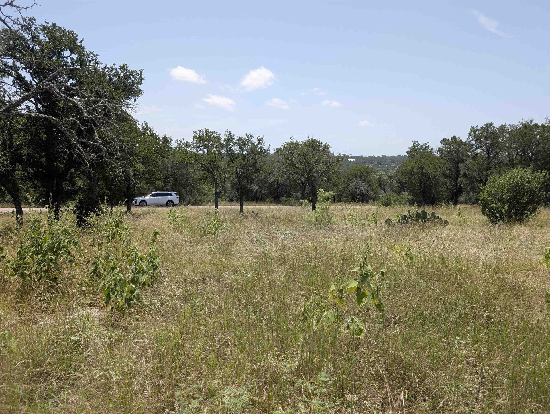1.2 acres in Llano County - photo 5