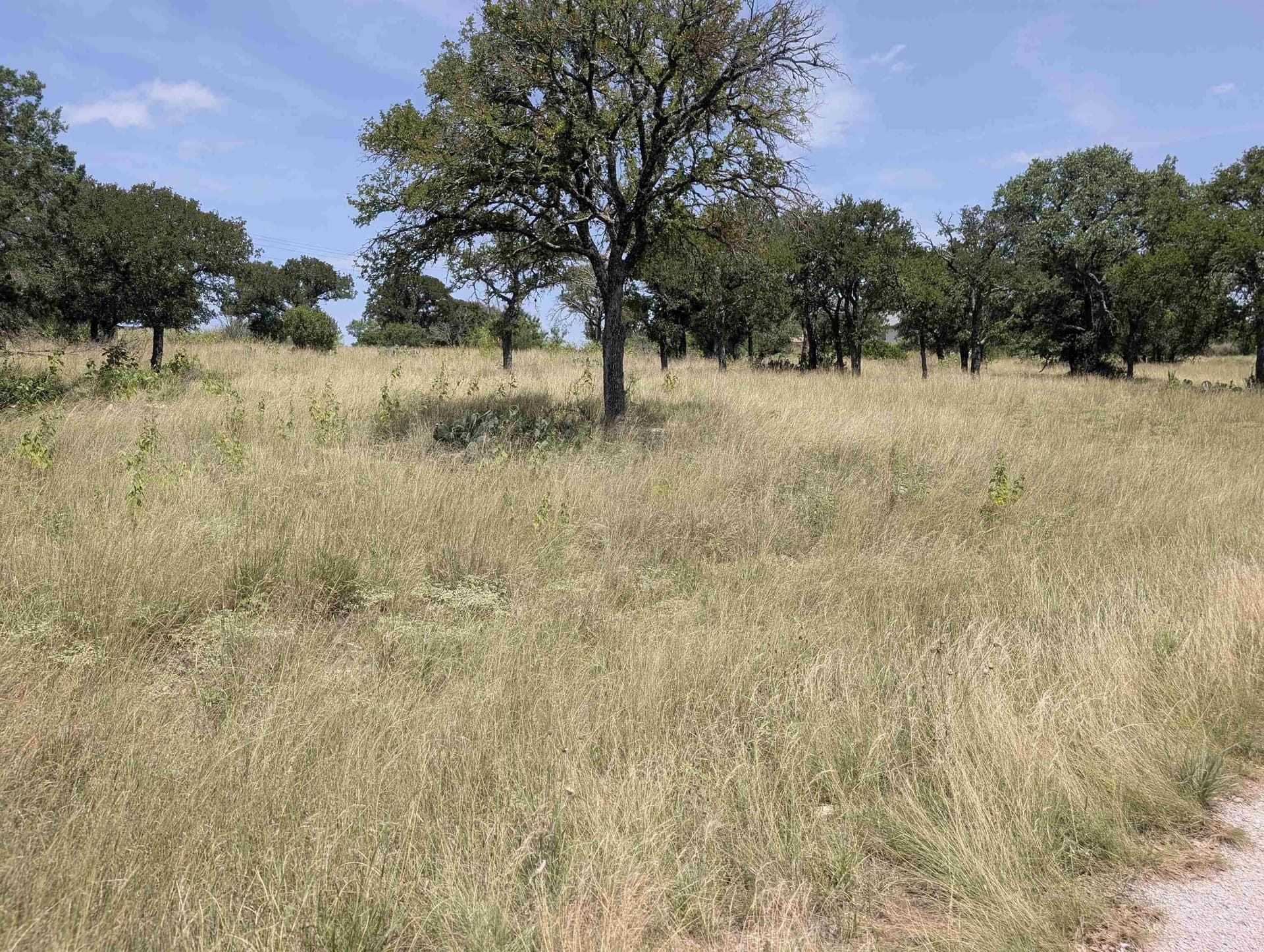 1.2 acres in Llano County