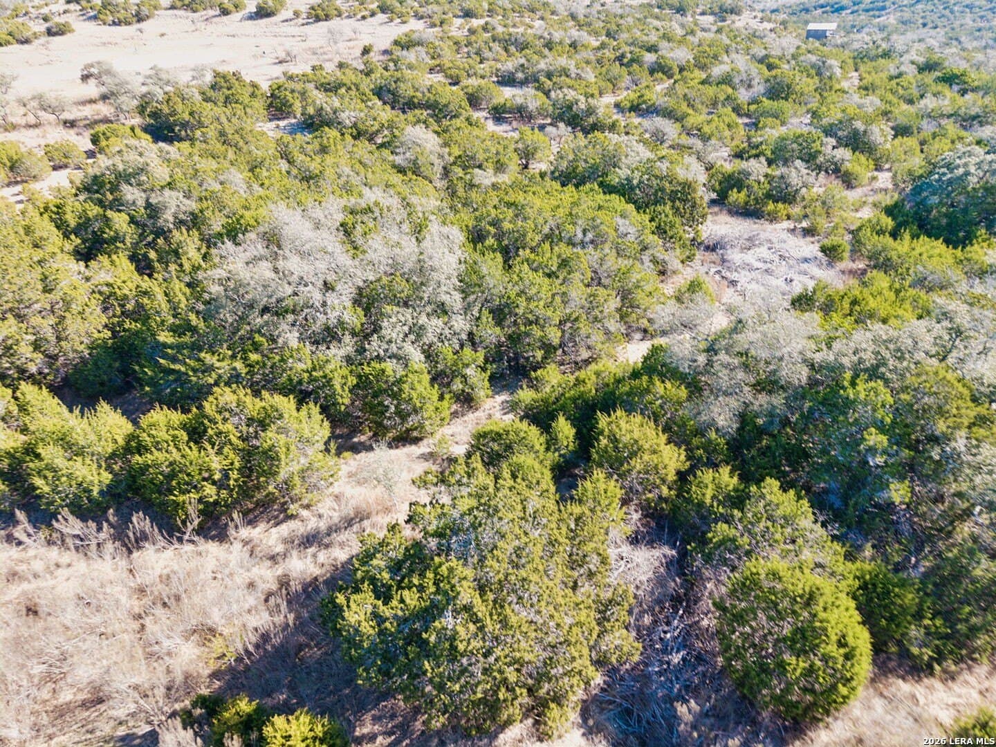 5 acres in Blanco County - photo 13