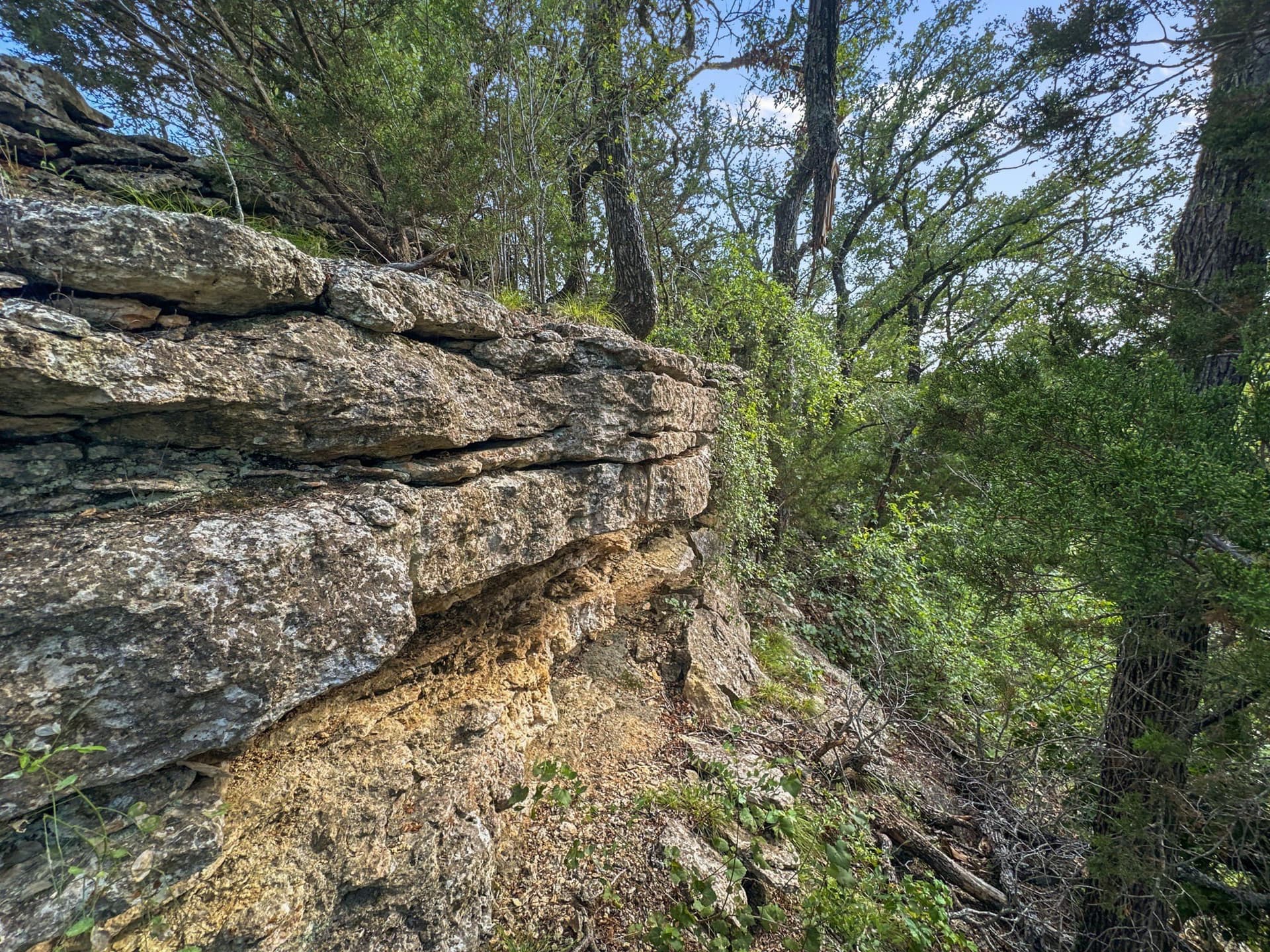 288.09 acres in Hamilton County - photo 19