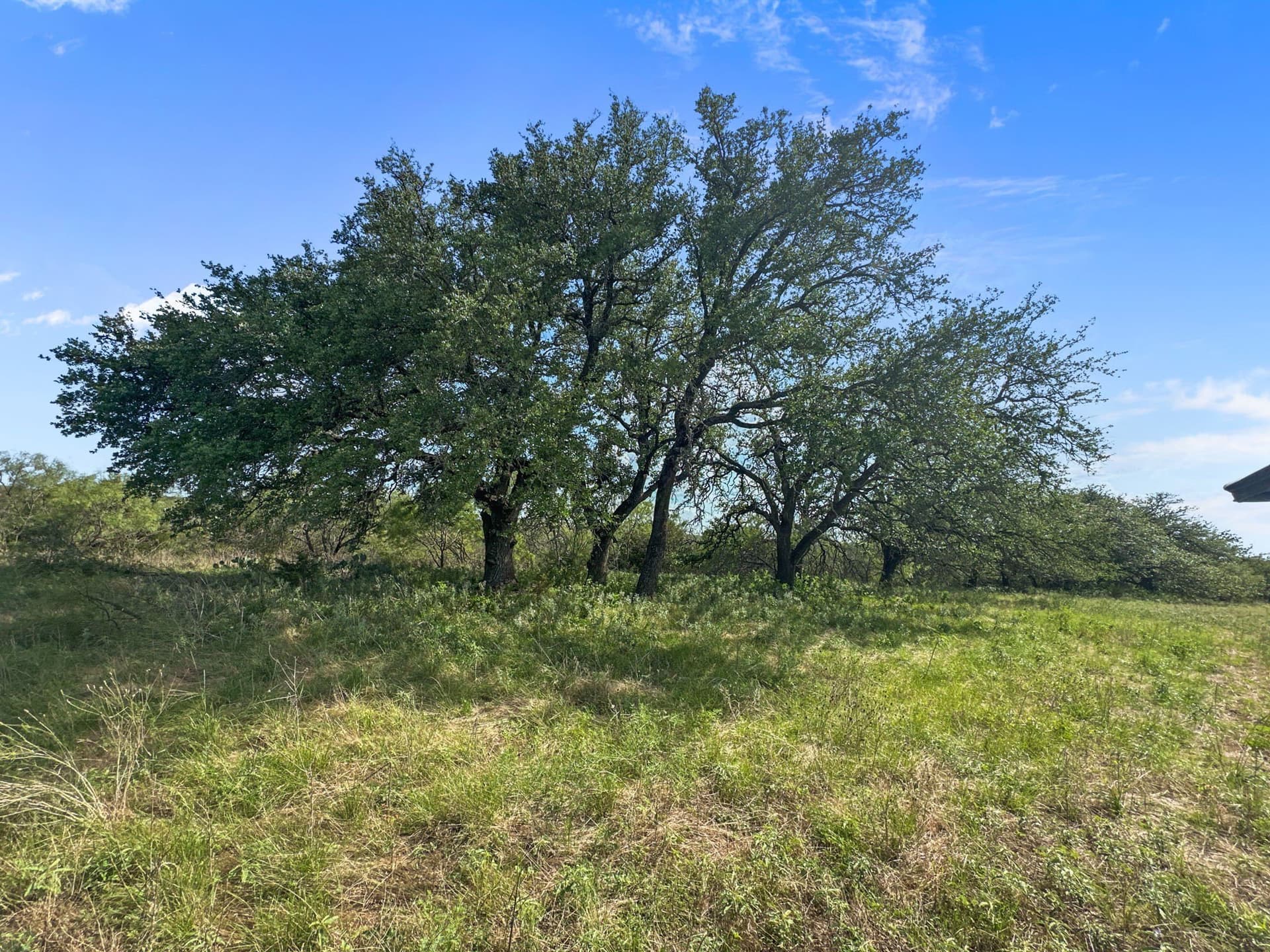 288.09 acres in Hamilton County - photo 26