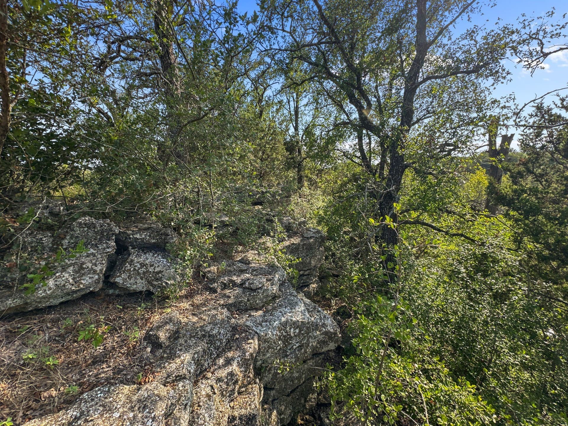288.09 acres in Hamilton County - photo 30