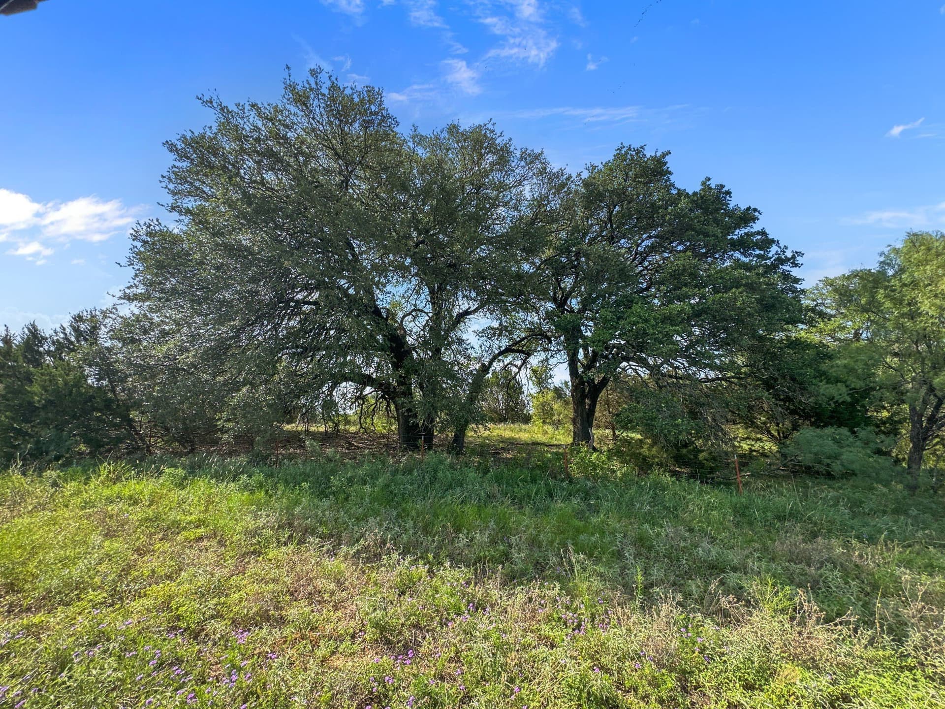 288.09 acres in Hamilton County - photo 35