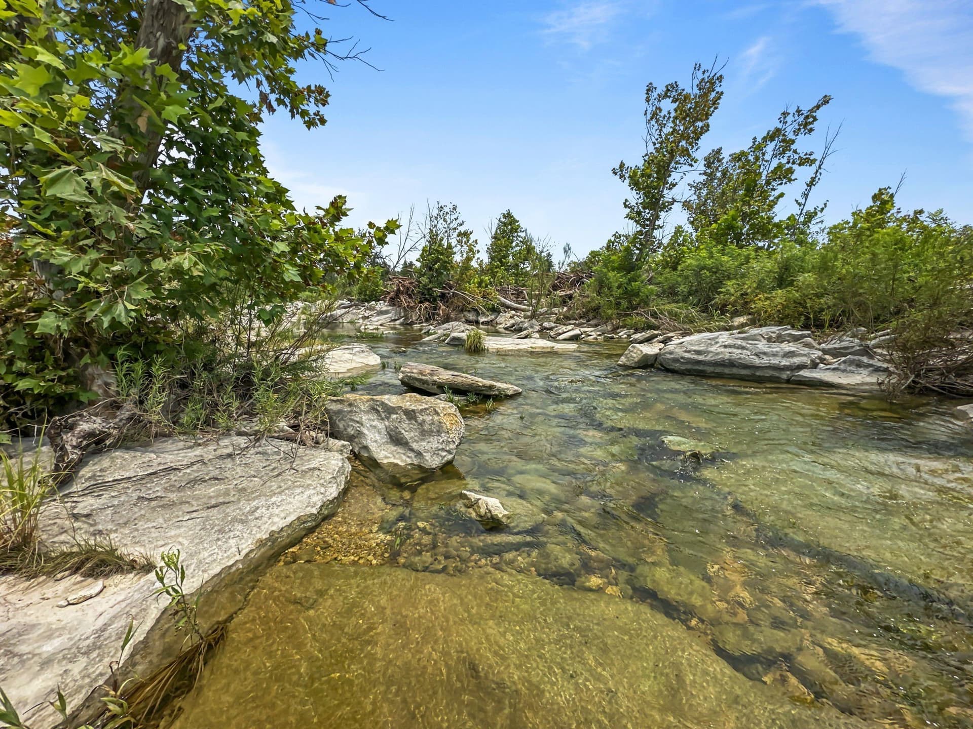 288.09 acres in Hamilton County gallery image 3