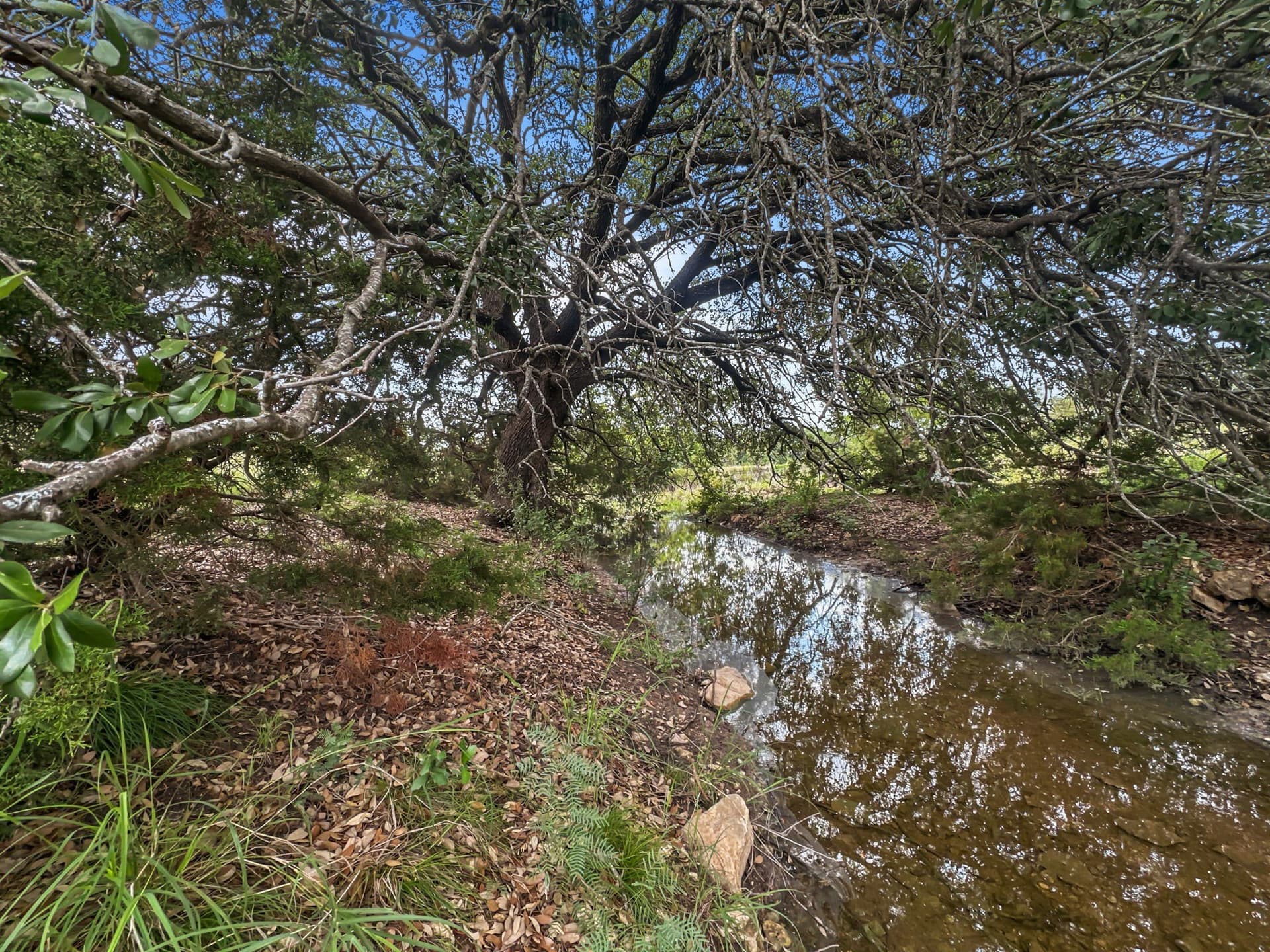 288.09 acres in Hamilton County - photo 13