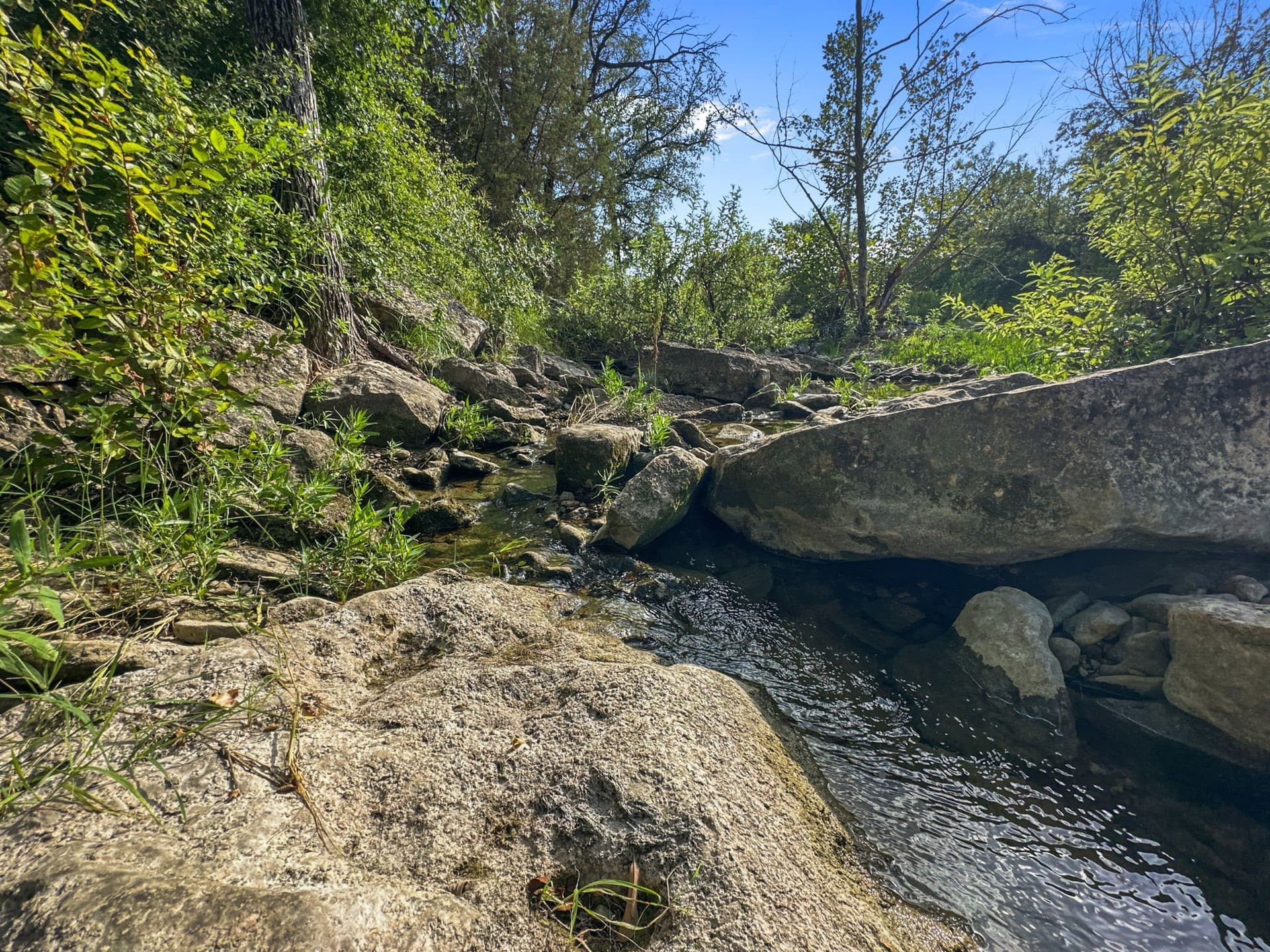 288.09 acres in Hamilton County - photo 7