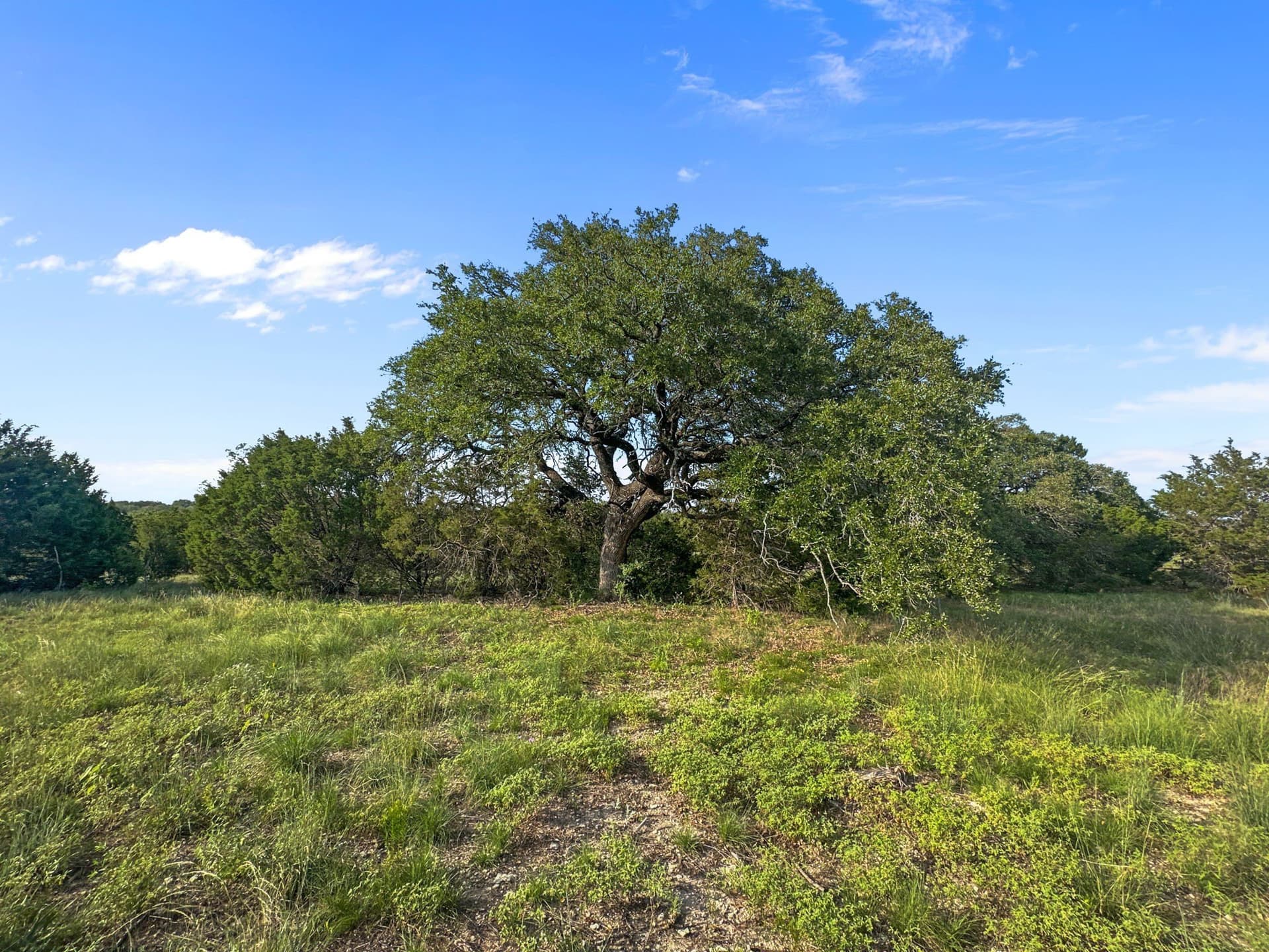 288.09 acres in Hamilton County - photo 32