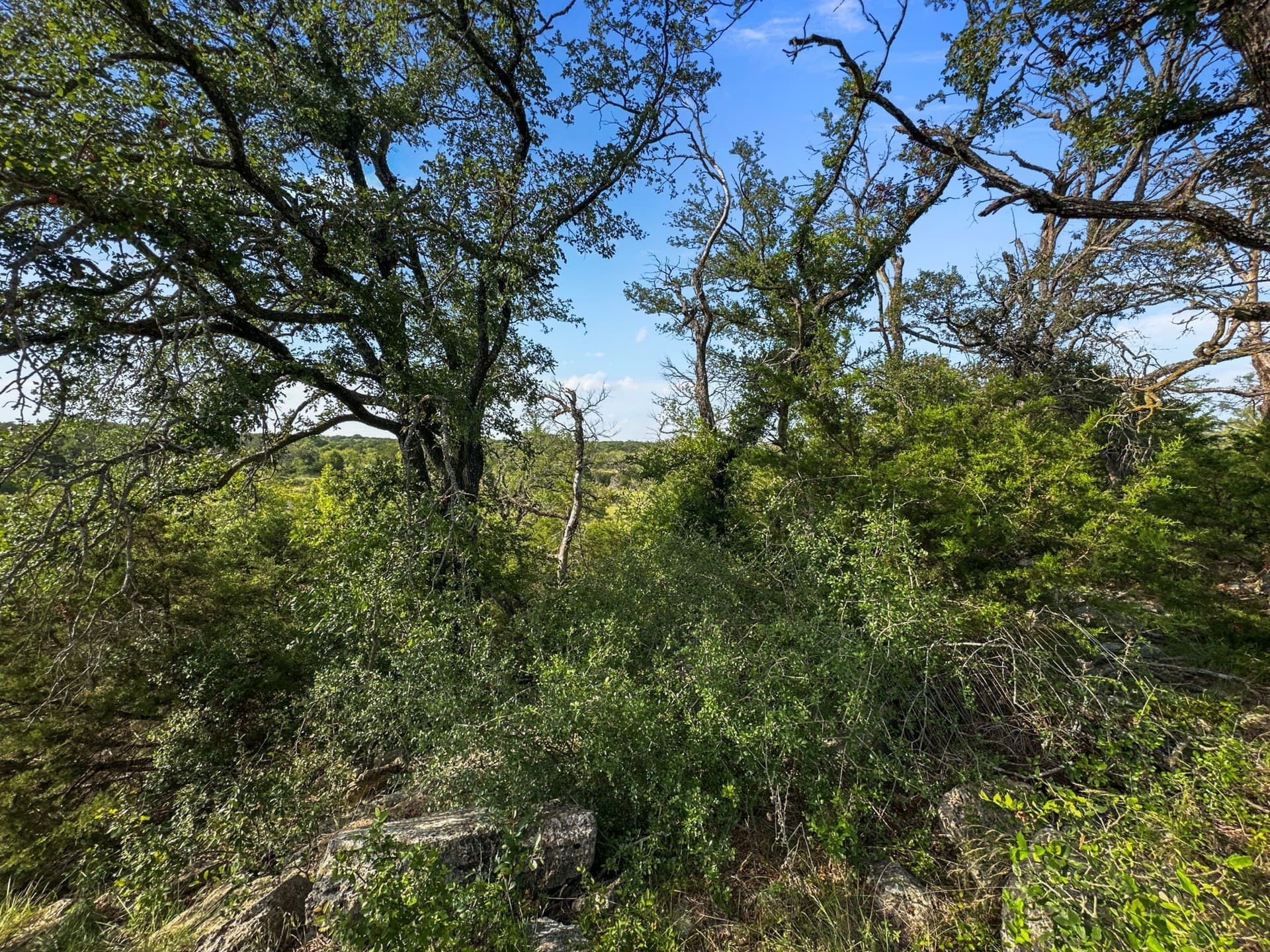288.09 acres in Hamilton County - photo 29