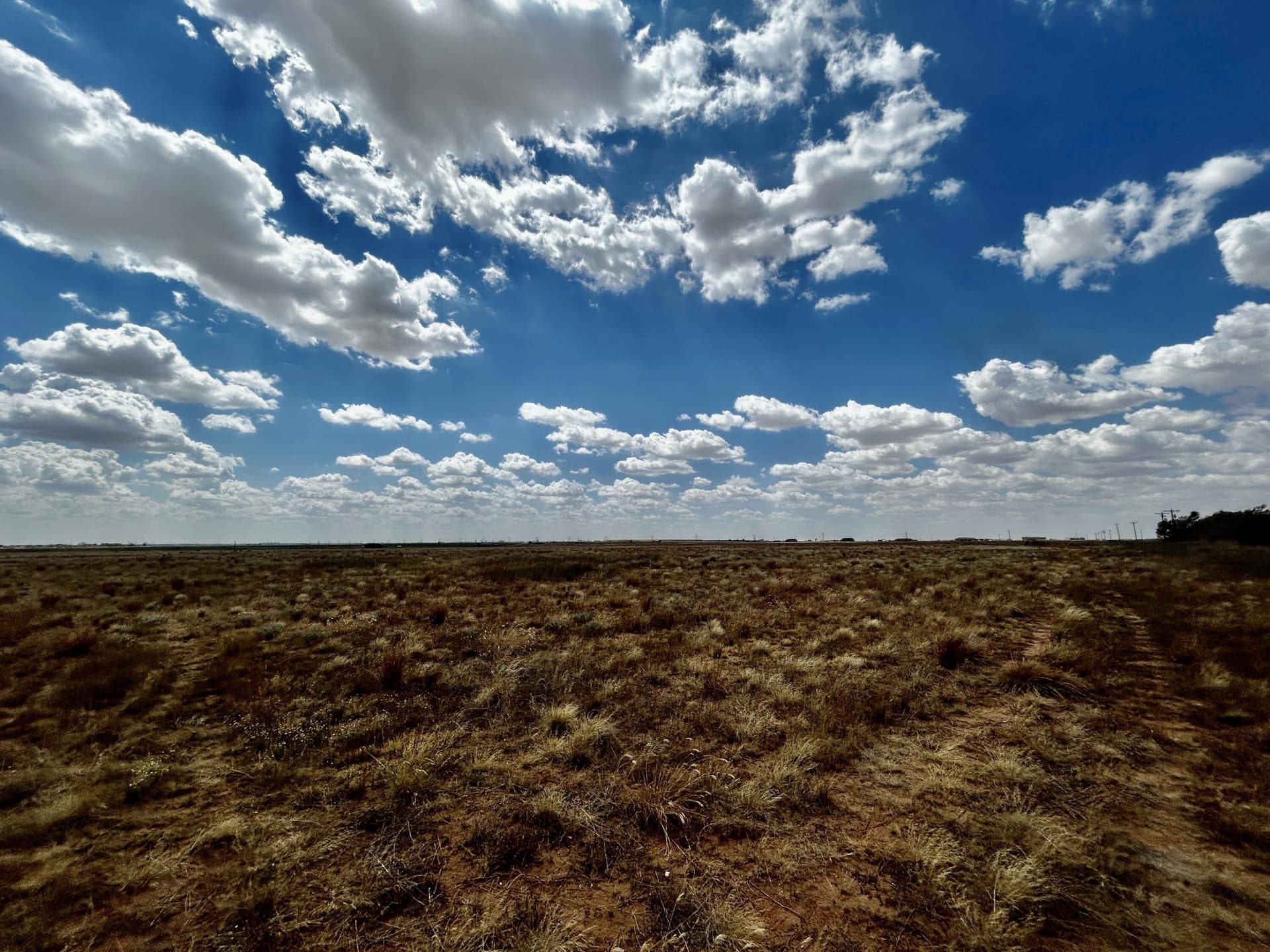 10.01 acres in Lubbock County - photo 2