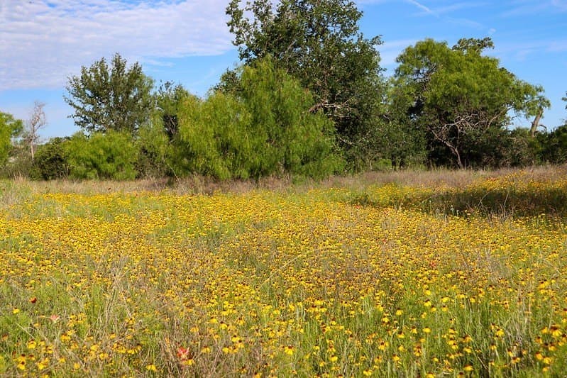 5.07 acres in Burnet County - photo 10