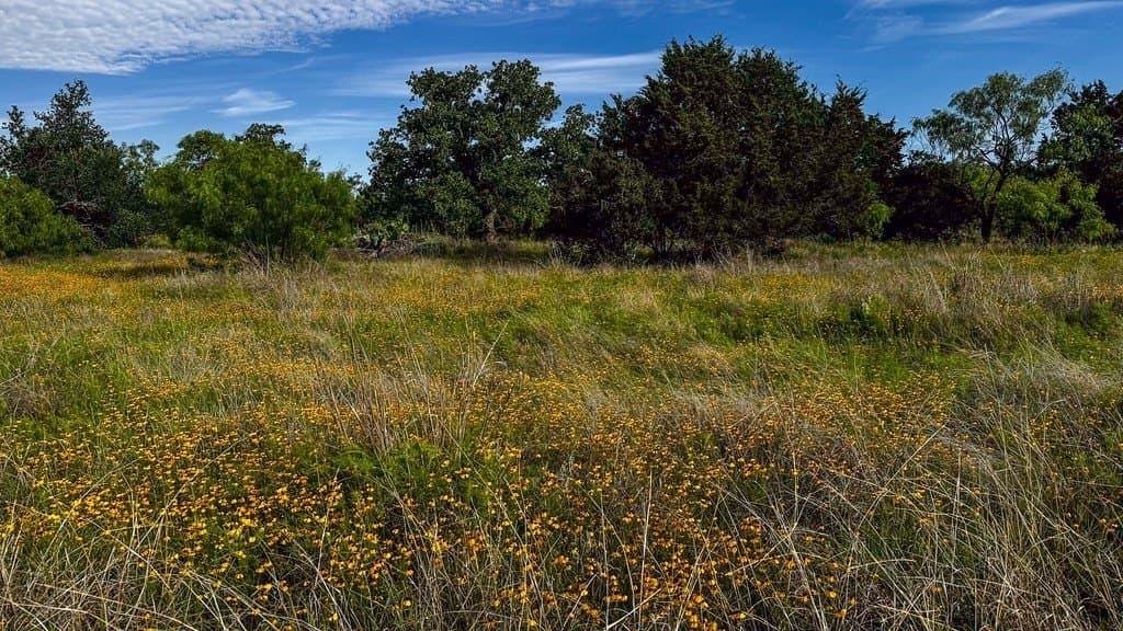 5.07 acres in Burnet County - photo 9