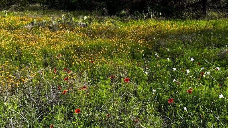 5.07 acres in Burnet County - photo 6