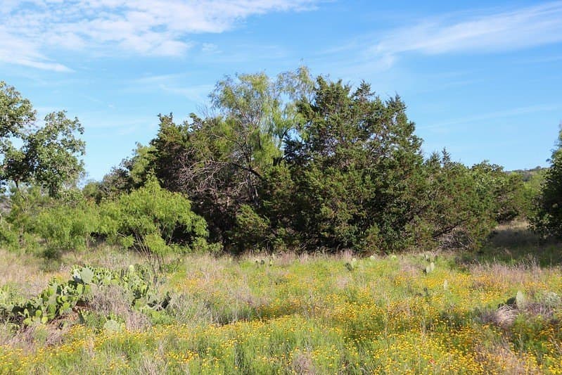 5.07 acres in Burnet County - photo 15