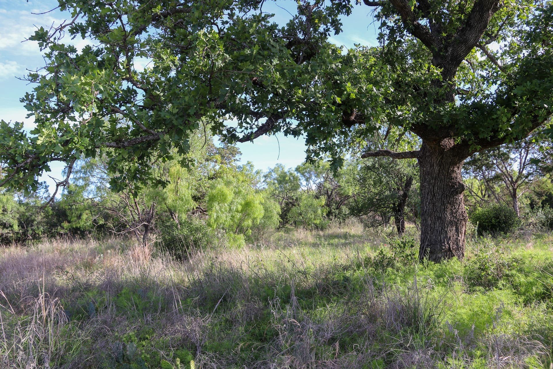 5.07 acres in Burnet County - photo 5